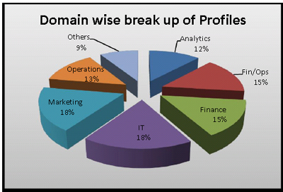 IIT Madras MBA Final placements 2012: Profile Breakup - Domain Wise